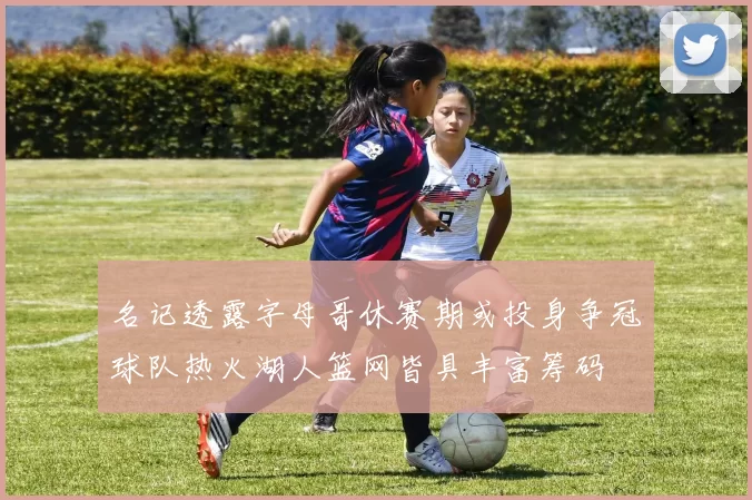 名记透露字母哥休赛期或投身争冠球队热火湖人篮网皆具丰富筹码