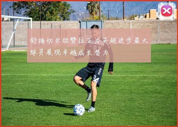 舒梅切尔称赞拉亚为英超进步最大球员展现卓越成长潜力